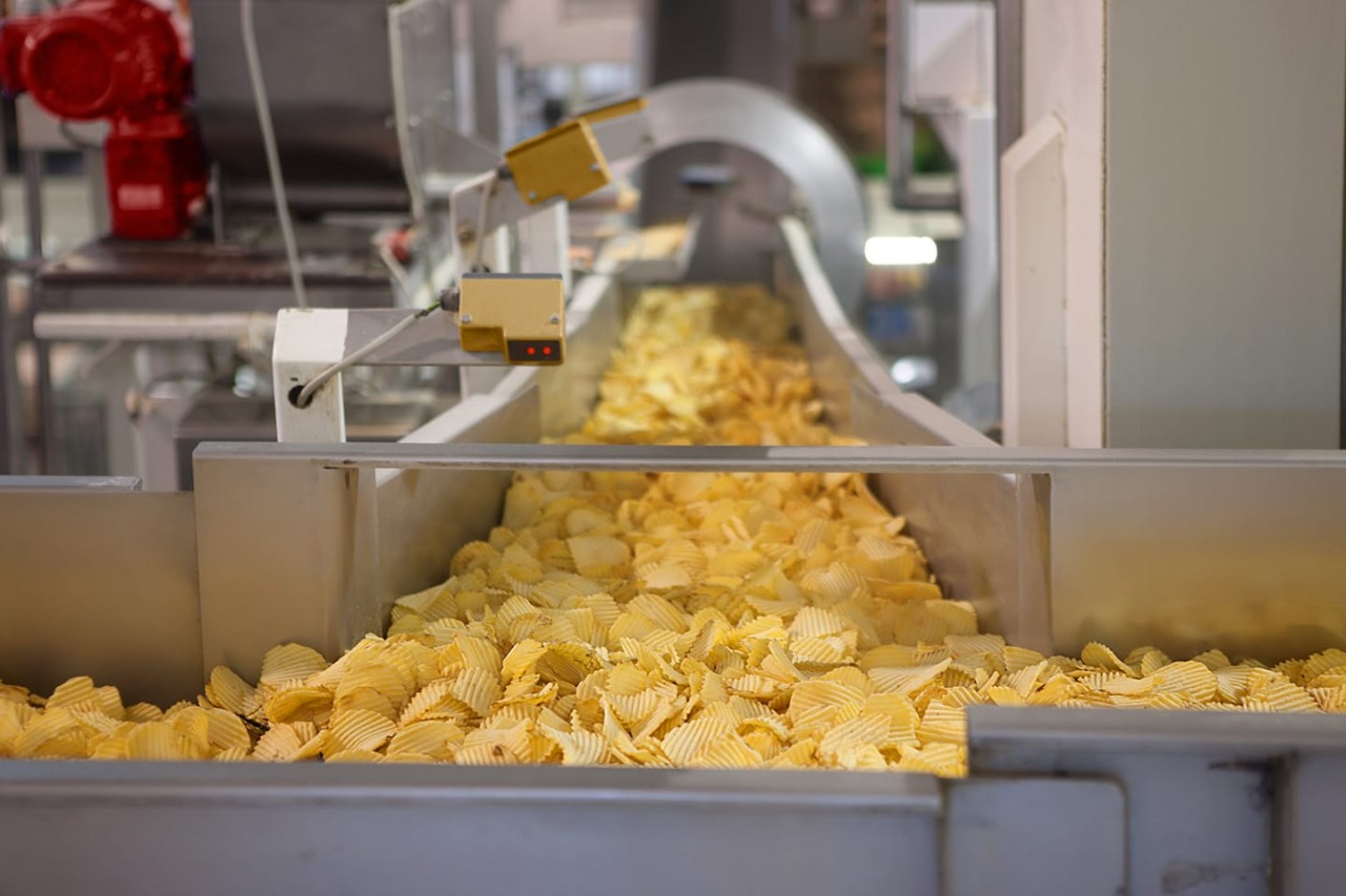 orkla_website_2024.jpg